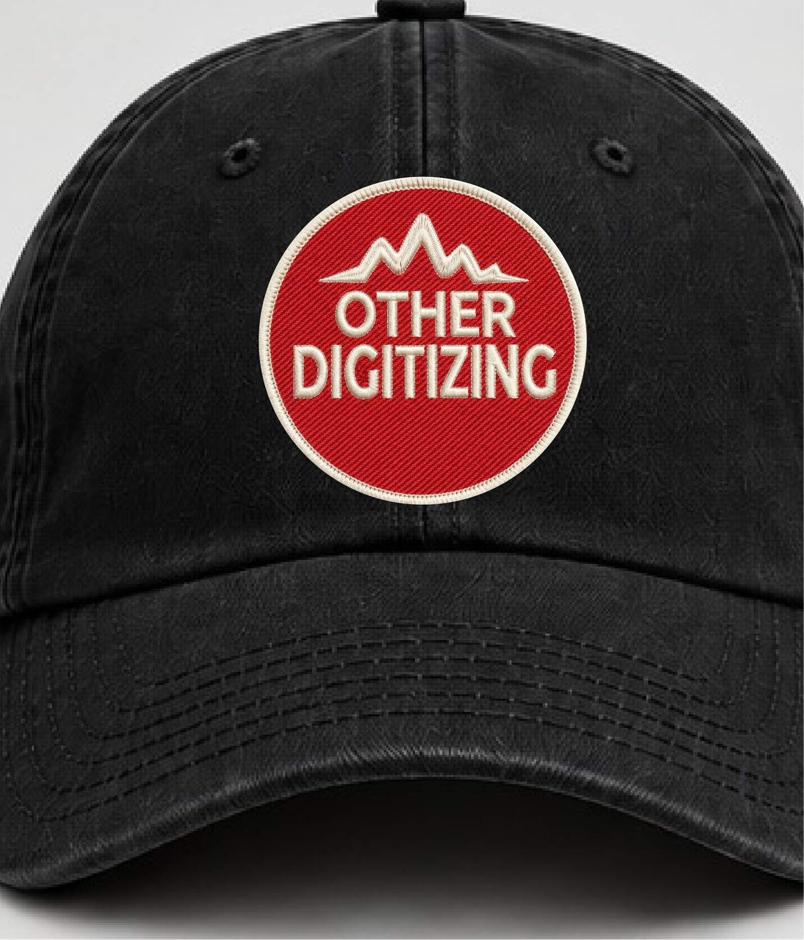 Other Digitizing